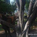 ���� ��������, �����������, 61 ��� - ��������� 1 ������� 2014 � ������ ���� ����������
