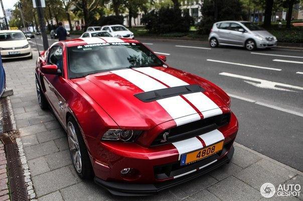 Shelby GT500 '2013 - 5