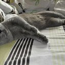 ���� �����, ���������, 62 ���� - ��������� 14 ������ 2014 � ������ ���������