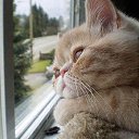  , --, 55  -  4  2014    