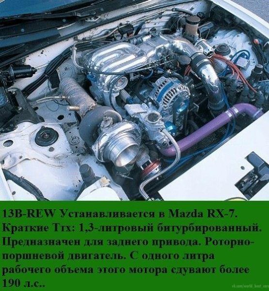 10-�� ������ �������� ����������.