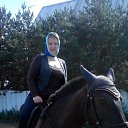 � � ������� ����������� 2014� ���� ������� 51 ��� �� ������� ���� ����������