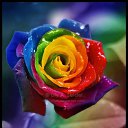 ���� Serg, ������, 66 ��� - ��������� 29 ������ 2014 � ������ ���� ����!!!�