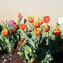 ���� Olga, �������, 69 ��� - ��������� 3 ������� 2014 � ������ ���� ����������