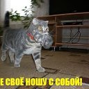 ���� ������, �����������, 48 ��� - ��������� 27 ������� 2014 � ������ ������ ��������