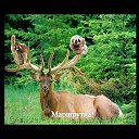 ���� �����_��������� ����, �����, 57 ��� - ��������� 7 �������� 2014 � ������ ������ ��������