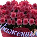 ���� �����, ���� - ��������� 9 ������� 2014 � ������ ������ ��������