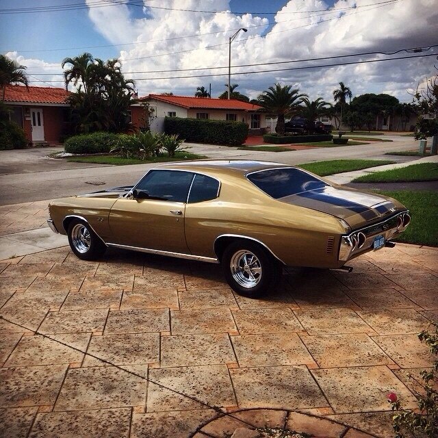 Chevelle SS - 5