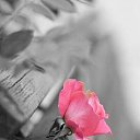 ���� ����, �������� - ��������� 16 ������� 2014 � ������ ������ ��������