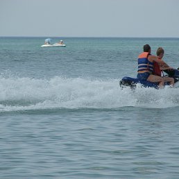 ���� ���������, �������, 54 ���� - ��������� 28 ������ 2014