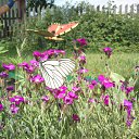 ���� �������, ������ - ��������� 12 �������� 2014 � ������ ���� ����������