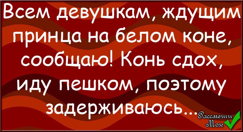 Жду принца на белом. Жду принца на белом коне. Девушка ждет принца. Юмор ищу принца. Ищу принца на белом коне.