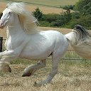 ���� �����, ��������� - ��������� 17 ������ 2014 � ������ ���� ����������