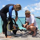 ����� ���������� �� ������� �������������