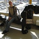 ���� �����, �����-���������, 40 ��� - ��������� 18 ������� 2014