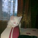 ���� Xorston, ������� - ��������� 29 �������� 2014 � ������ ���� ����������