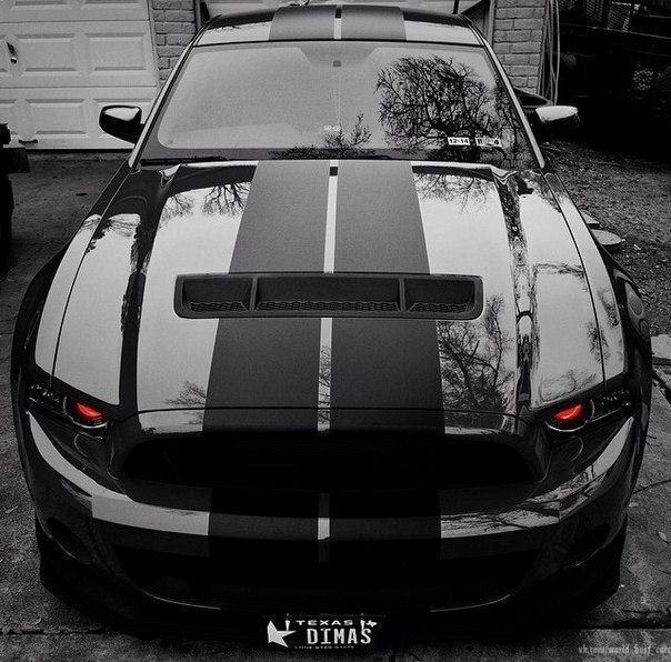 Shelby GT500. - 3