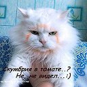 ���� ]{() � � -�]{ @, ������-��-���� - ��������� 17 �������� 2014 � ������ ������� --�� !!!�