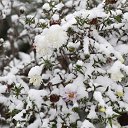 ���� ������, �������, 41 ��� - ��������� 18 ������� 2014 � ������ �������