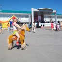 ���� �������� ���� ����������, ��������, 72 ���� - ��������� 18 ������ 2014 � ������ ����� ���� � ����� ����, ������