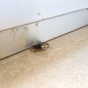 ������������ �������� ��� ��� �� ������� ���� ����������