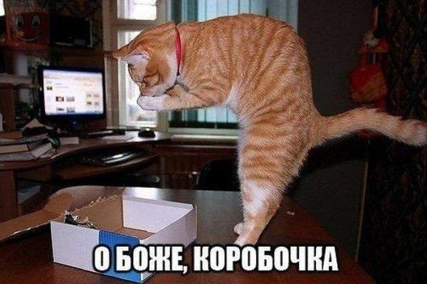 �������������� �� ���: fotostrana.ru/mix-humor