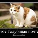 ���� �����, �����, 48 ��� - ��������� 27 �������� 2014 � ������ ������ ��������