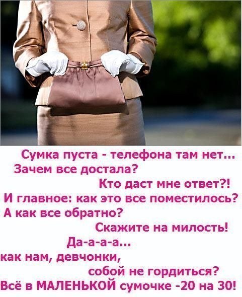 Женская сумочка. История в 6 картинках, читать последовательно :) - 6