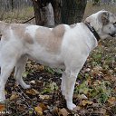 ���� ��������, ������ - ��������� 8 ������ 2014 � ������ ������ ��������