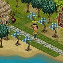 ���� ������, �����, 72 ���� - ��������� 9 ������� 2014 � ������ �Tropikania�