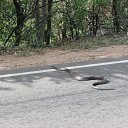 ���� Reveka, ������� - ��������� 23 ������ 2014 � ������ ���� ����������