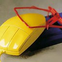 ���� ���, ������, 22 ���� - ��������� 13 ������� 2014 � ������ ���� ����������