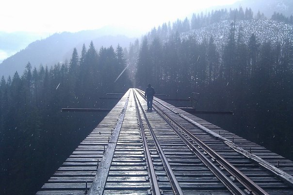      .The Vance Creek Bridge  ,   1929    ... - 2