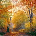 ���� ����, ������, 58 ��� - ��������� 10 �������� 2014 � ������ �������