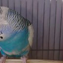 ���� ������, �����, 30 ��� - ��������� 2 �������� 2014 � ������ ���� ����������