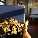���� R., �����, 45 ��� - ��������� 7 ������� 2014 � ������ ������� ������-��-����--������������� ���� �.������