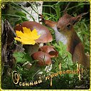 ���� �����������, �����, 75 ��� - ��������� 1 �������� 2014 � ������ ������ ��������