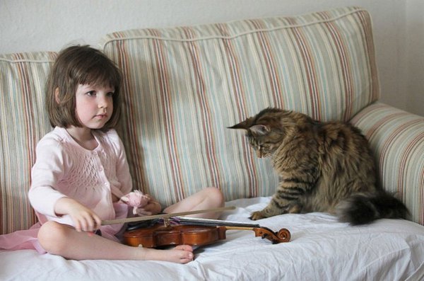 5-летняя художница-аутист Айрис Грейс из Великобритании и ее дружба с лечащим котом породы мейн-кун ... - 4