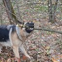 ���� Juriy, ����, 64 ���� - ��������� 24 ������� 2014 � ������ ���������