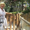 ���� ���, �����, 67 ��� - ��������� 4 ������� 2014 � ������ ���� ����������