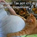 ���� Sergey, ������ - ��������� 29 ������� 2014