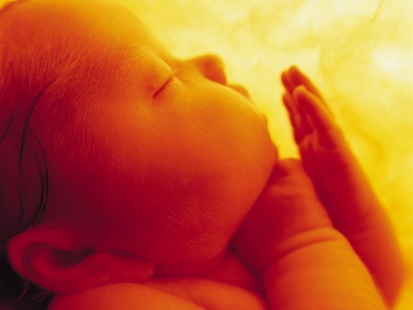 Есть семь чудес на белом свете, восьмое чудо света — дети!