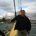 ���� ����, �����-���������, 51 ��� - ��������� 31 ������� 2014 � ������ ��� ����