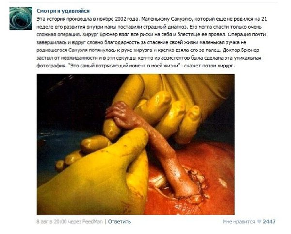 10  .   ,   ,  ,   .  , ... - 13