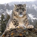 ���� ������, ������, 47 ��� - ��������� 18 �������� 2014 � ������ ���� ����������