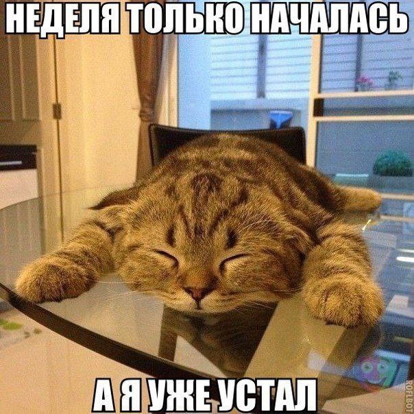 ������ ��������� :D - 9 �������� 2014 � 22:54