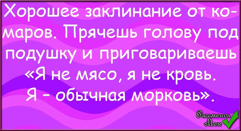 Включи заклинание. Смешные слова заклинания. Смешные шуточные заклинания. Смешные заклинания в стихах. Смешные волшебные заклинания.