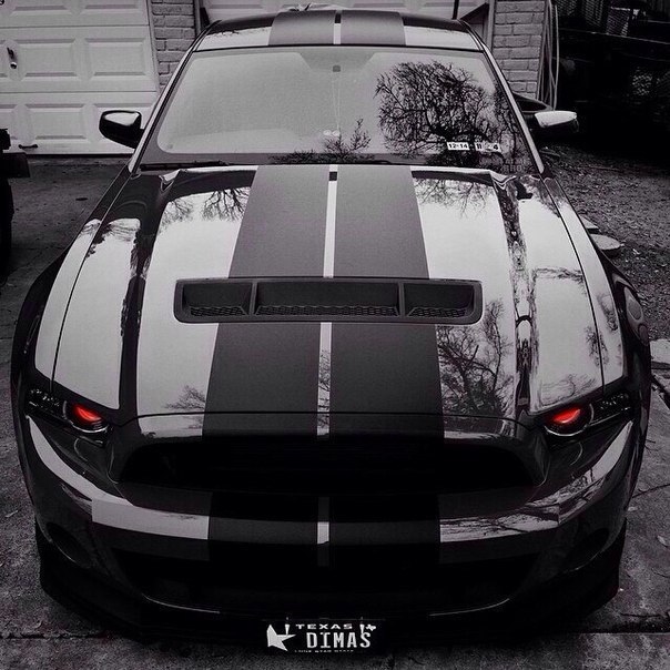 Shelby GT500. - 6