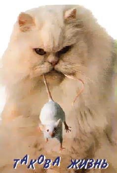 ���������, ������, 52 ����