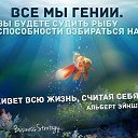 ���� �������, �������, 54 ���� - ��������� 5 ������� 2014 � ������ ������ ��������